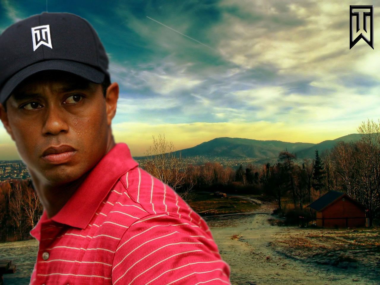 High resolution Tiger Woods hd 1280x960 wallpaper ID:8906 for computer