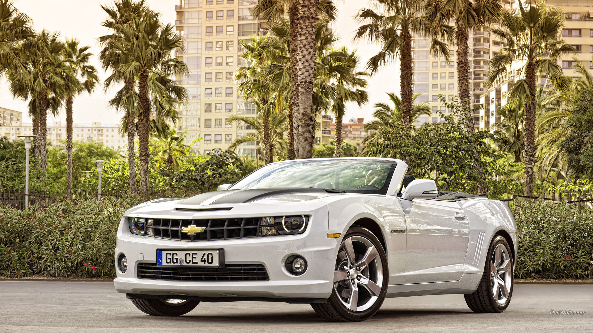 Free Chevrolet Camaro high quality background ID:464239 for hd 1080p PC