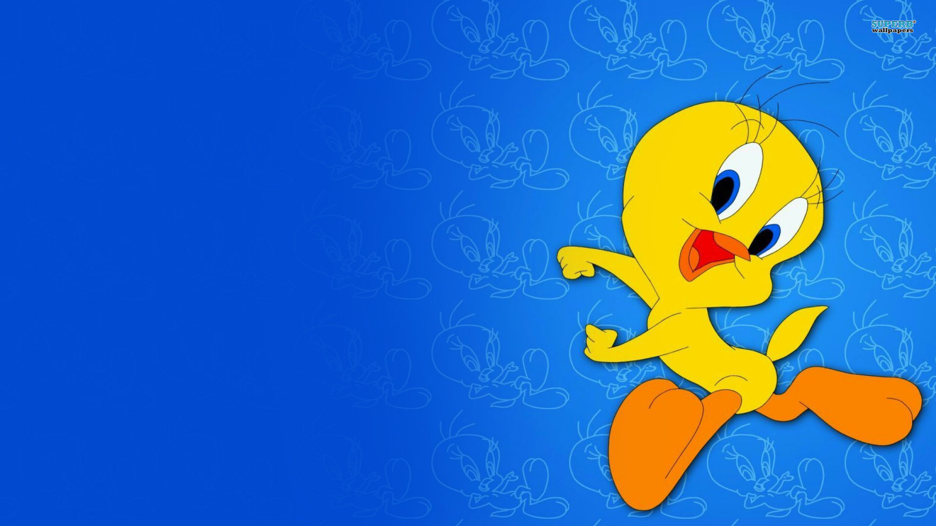 Download hd 1920x1080 Tweety pie computer wallpaper ID:12068 for free
