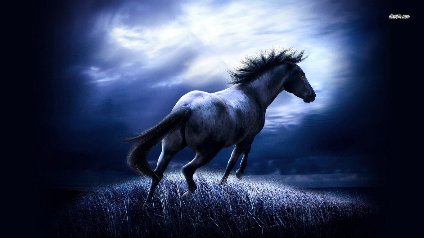 Best Horse wallpaper ID:23351 for High Resolution laptop PC