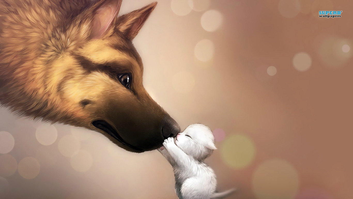 High resolution Dog hd 1366x768 wallpaper ID:308148 for PC