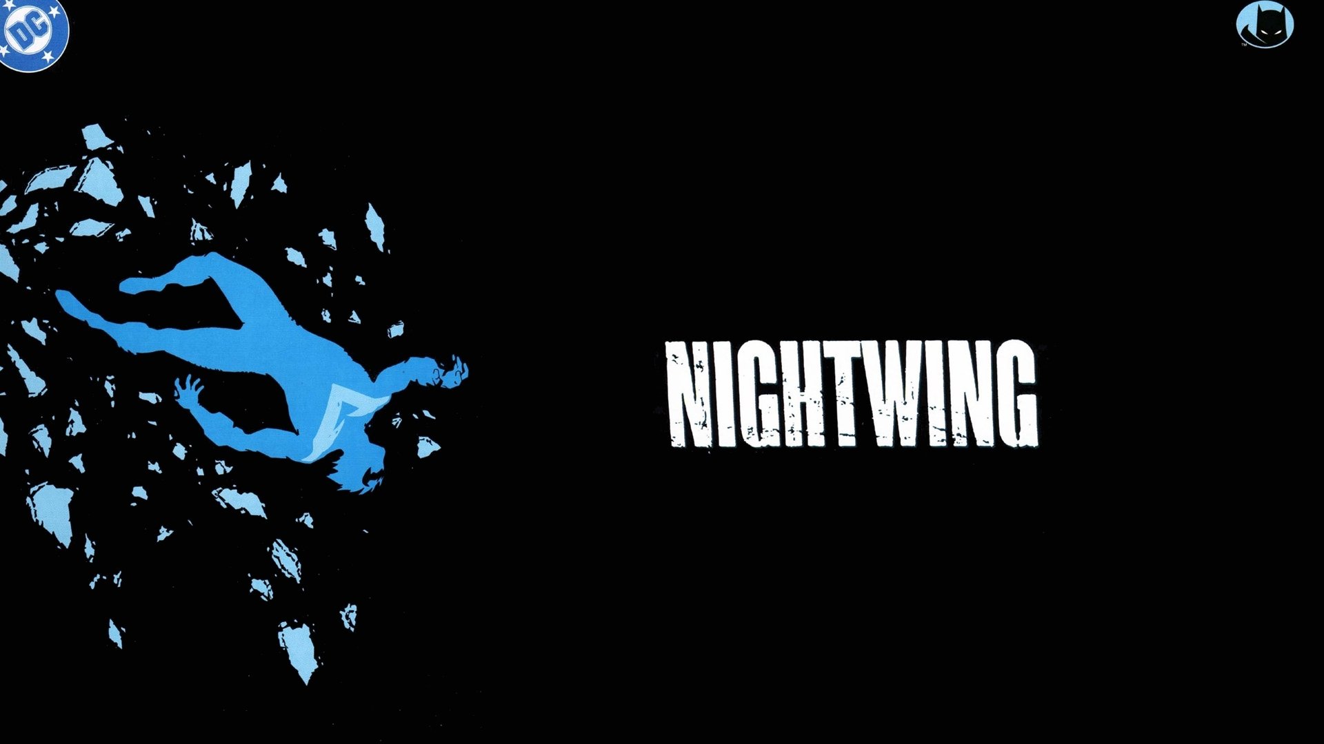 Free Nightwing high quality background ID:129076 for full hd 1080p computer