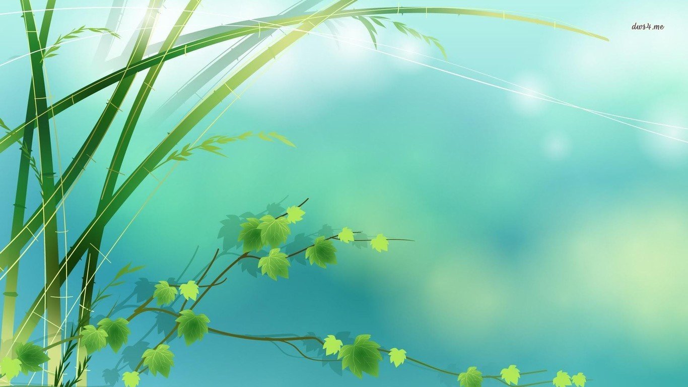 High resolution Bamboo hd 1366x768 background ID:246802 for computer