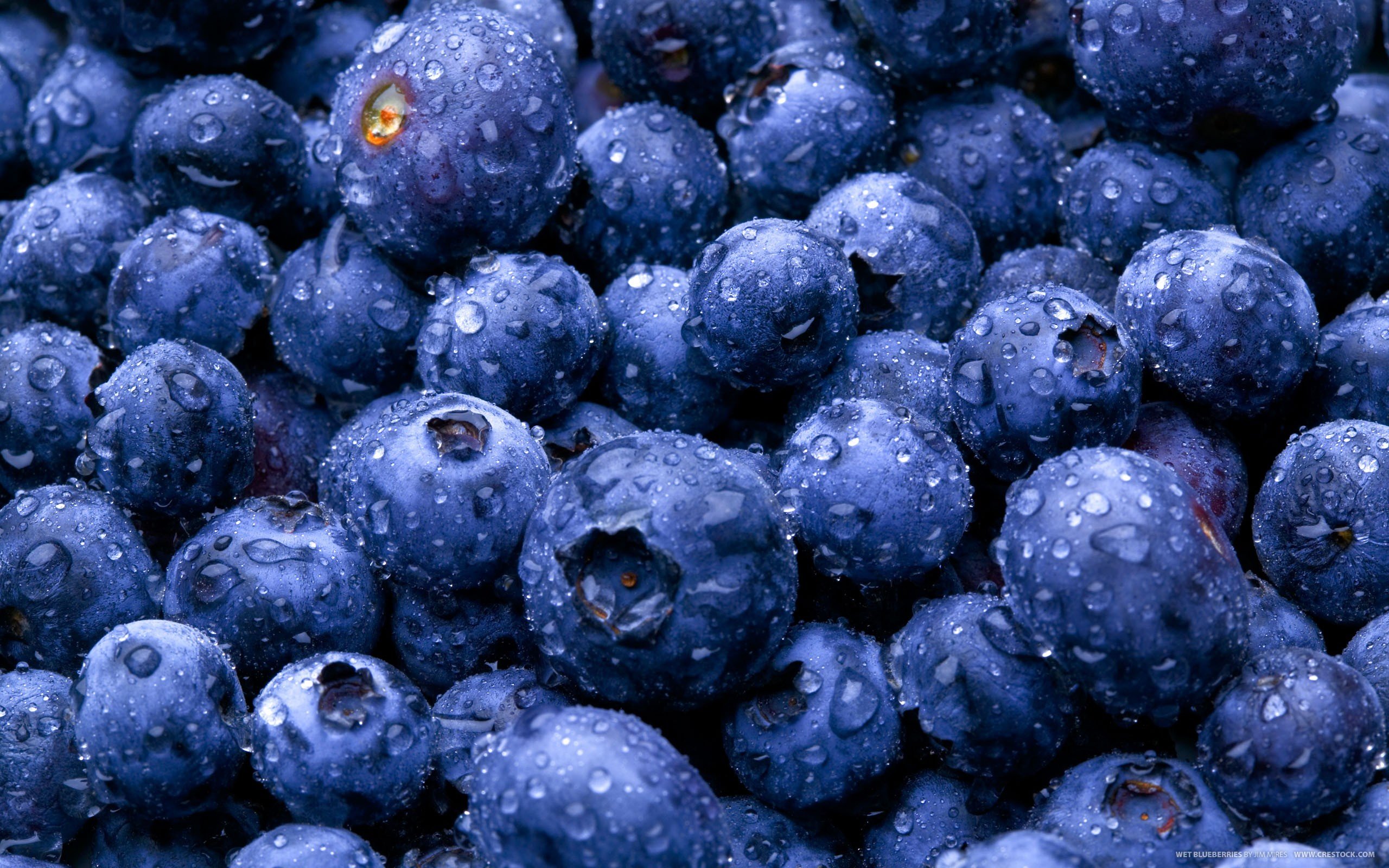 High resolution Blueberry hd 2560x1600 background ID:68976 for desktop