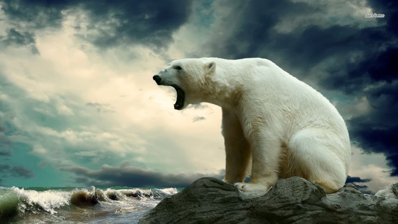 Free download Polar Bear background ID:360008 hd 1366x768 for computer
