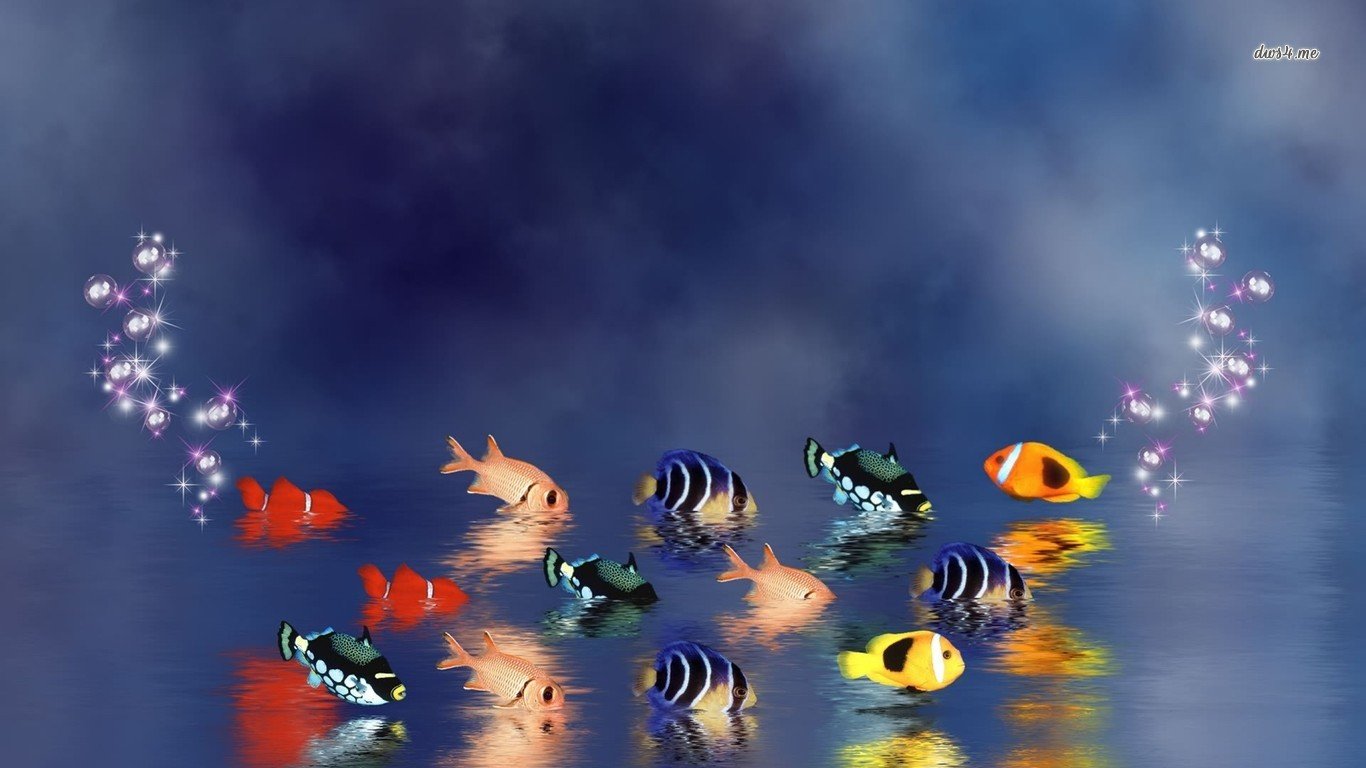Free Fish high quality background ID:66141 for 1366x768 laptop desktop