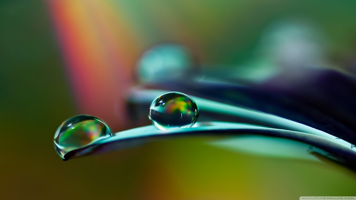 Best Water Drop background ID:430213 for High Resolution hd 1366x768 computer