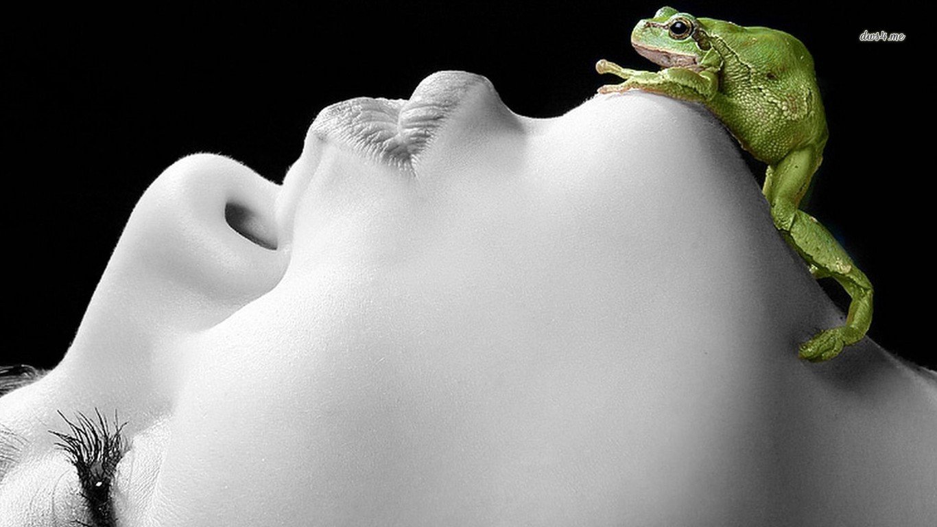 Free Frog high quality background ID:328780 for 1366x768 laptop desktop