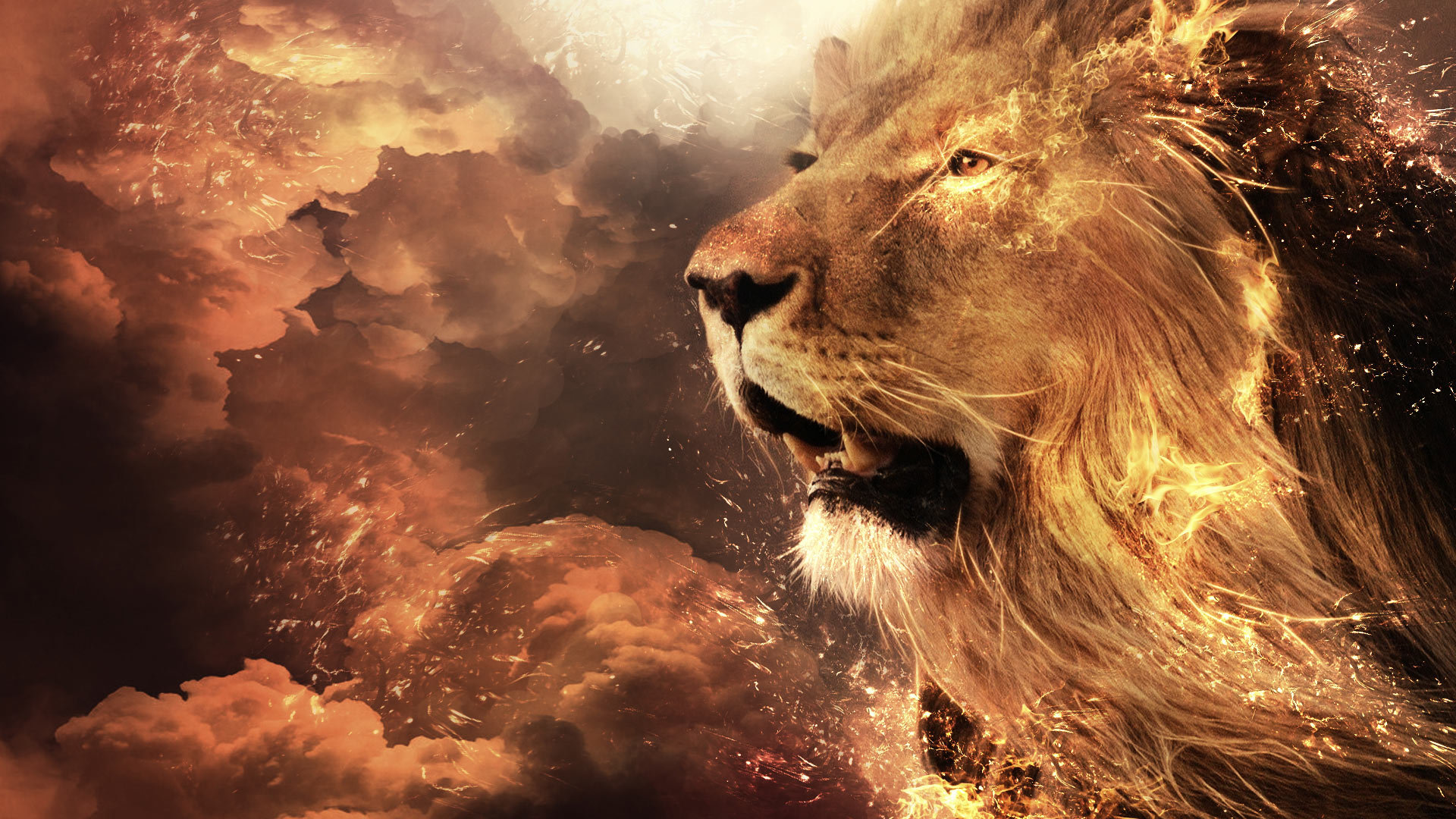 High resolution Lion 1080p wallpaper ID:255158 for PC