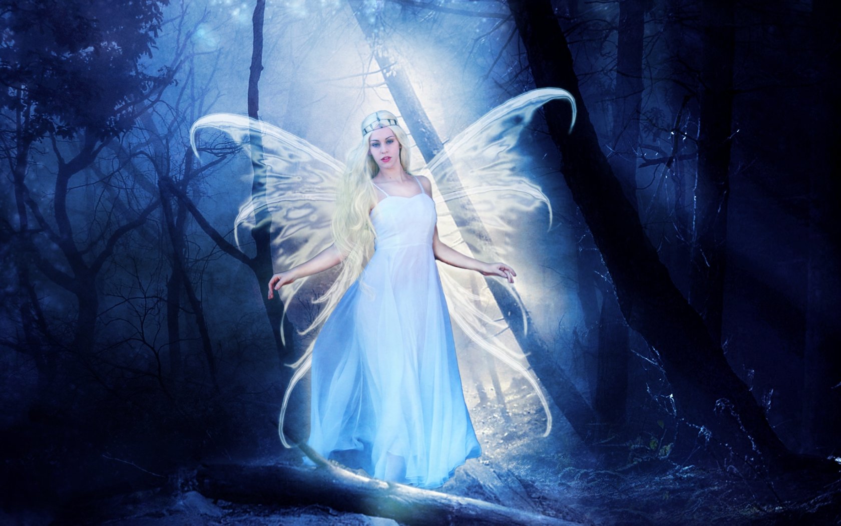Best Fairy wallpaper ID:96582 for High Resolution hd 1680x1050 PC