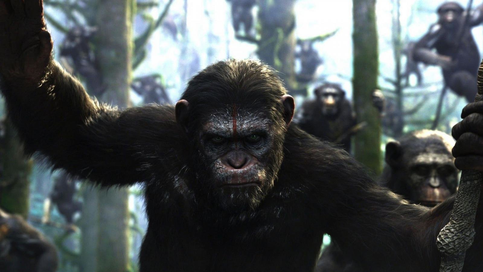 High resolution Dawn Of The Planet Of The Apes hd 1600x900 wallpaper ID:213698 for desktop