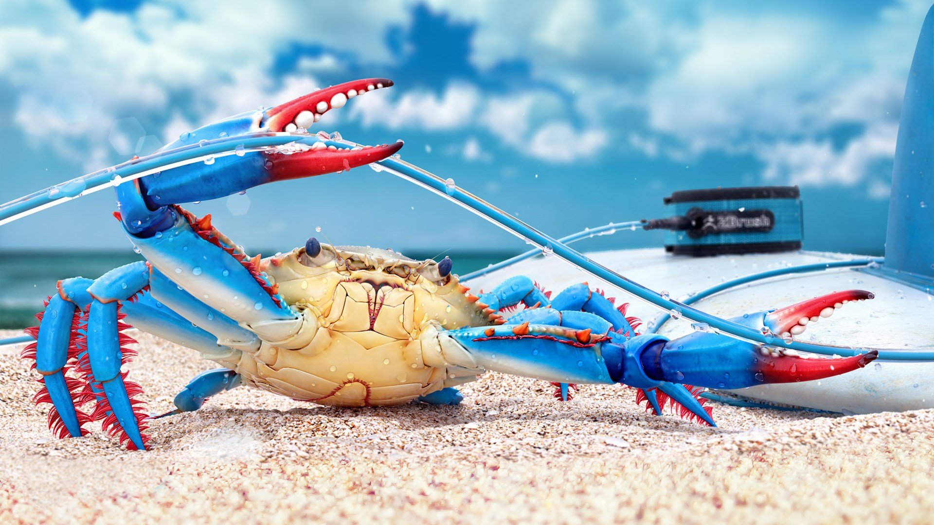Free download Crab background ID:294328 hd 1080p for PC