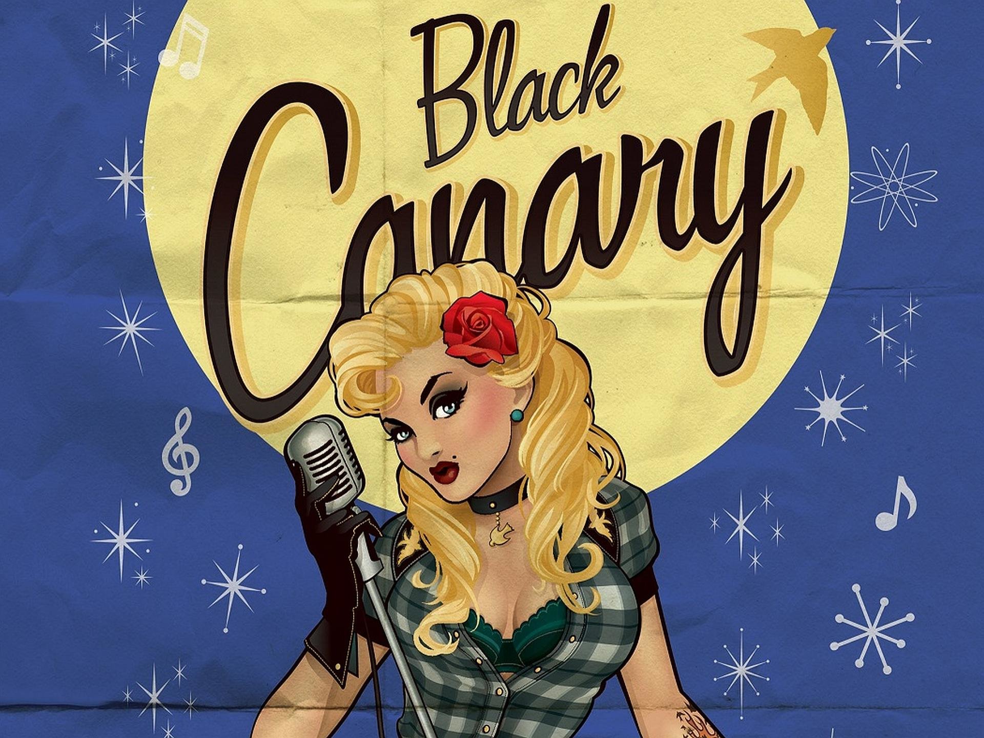 Free download Black Canary background ID:365844 hd 1920x1440 for PC