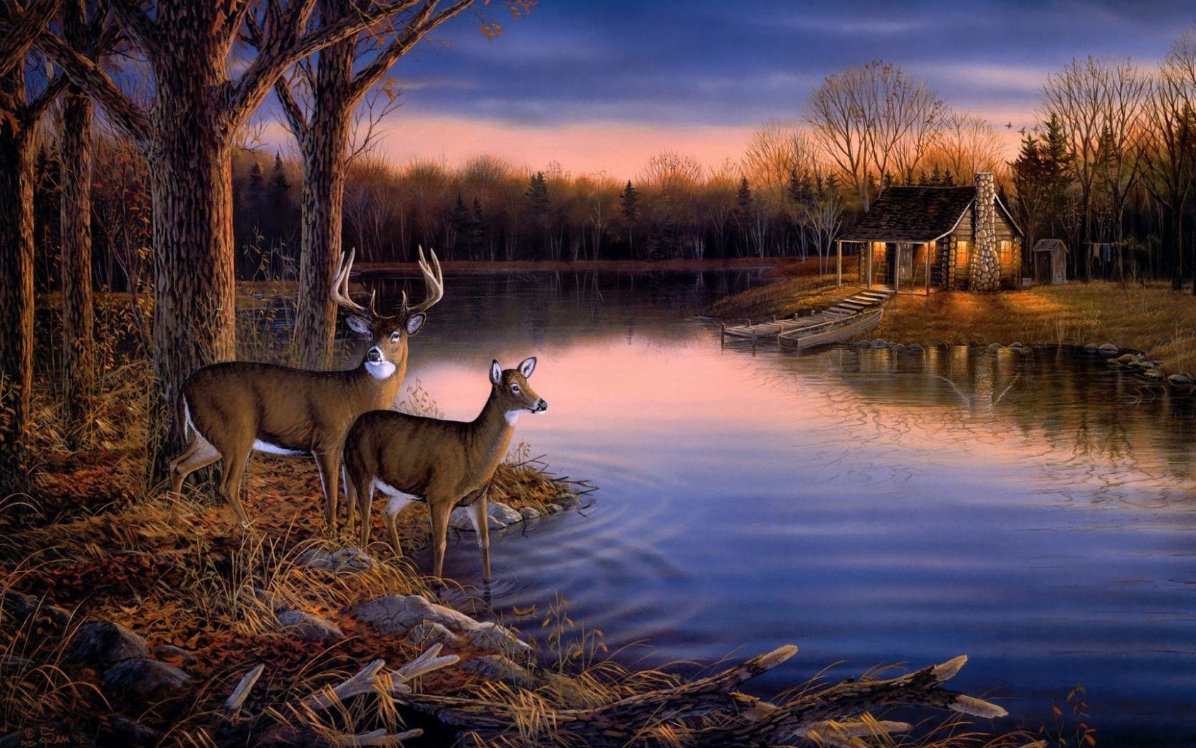 Free Deer high quality background ID:238438 for hd 1680x1050 PC