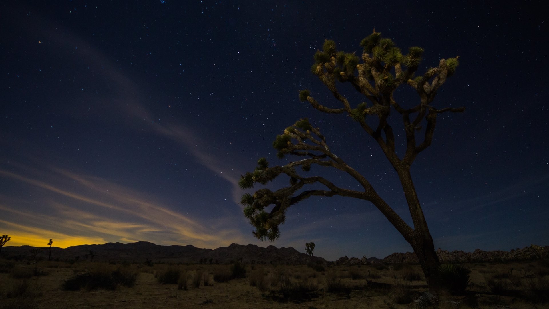 Download full hd 1080p Joshua Tree National Park PC background ID:254699 for free