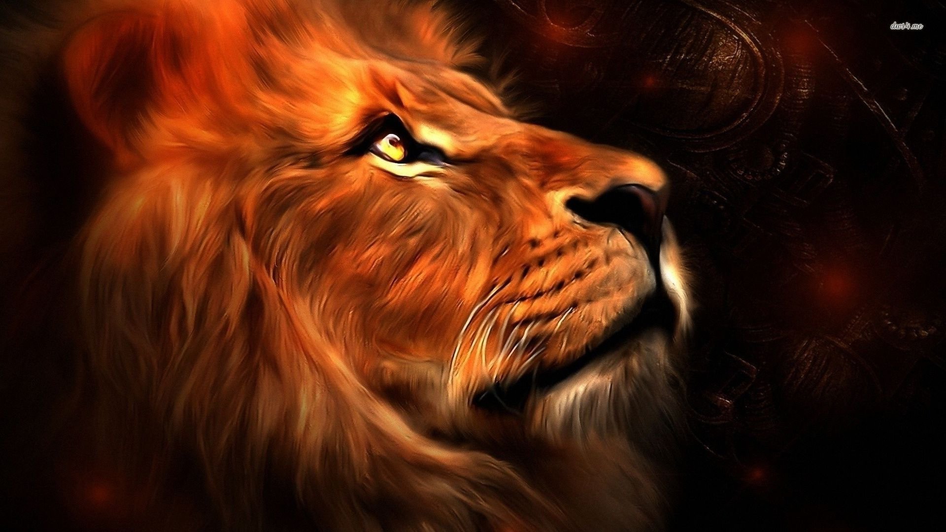 Best Lion wallpaper ID:255189 for High Resolution hd 1080p desktop
