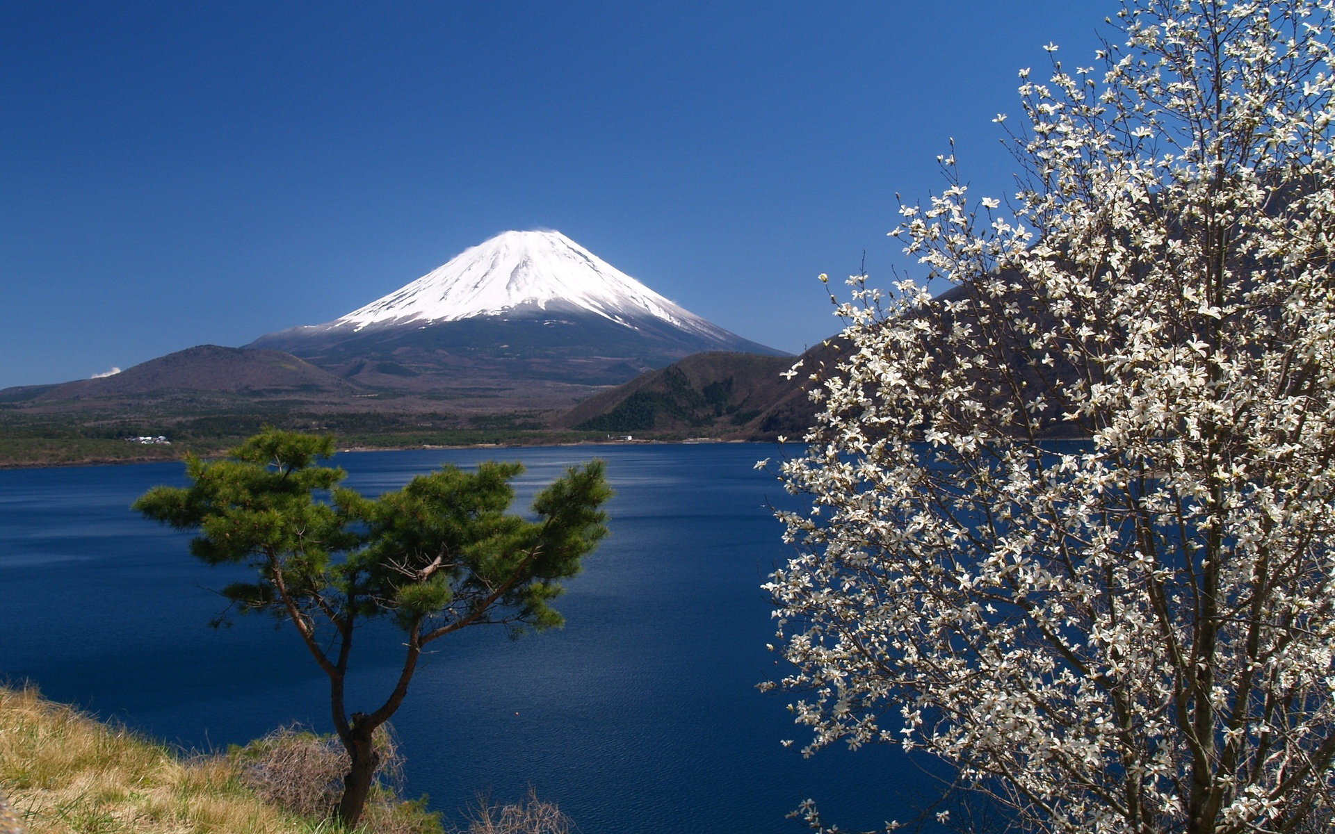 Free Mount Fuji high quality wallpaper ID:277765 for hd 1920x1200 desktop