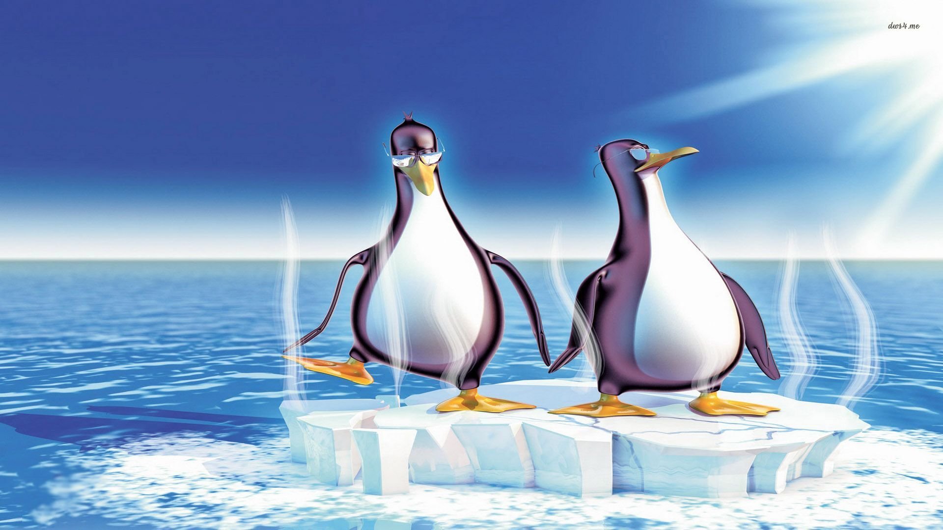 Best Penguin background ID:149424 for High Resolution full hd 1080p computer