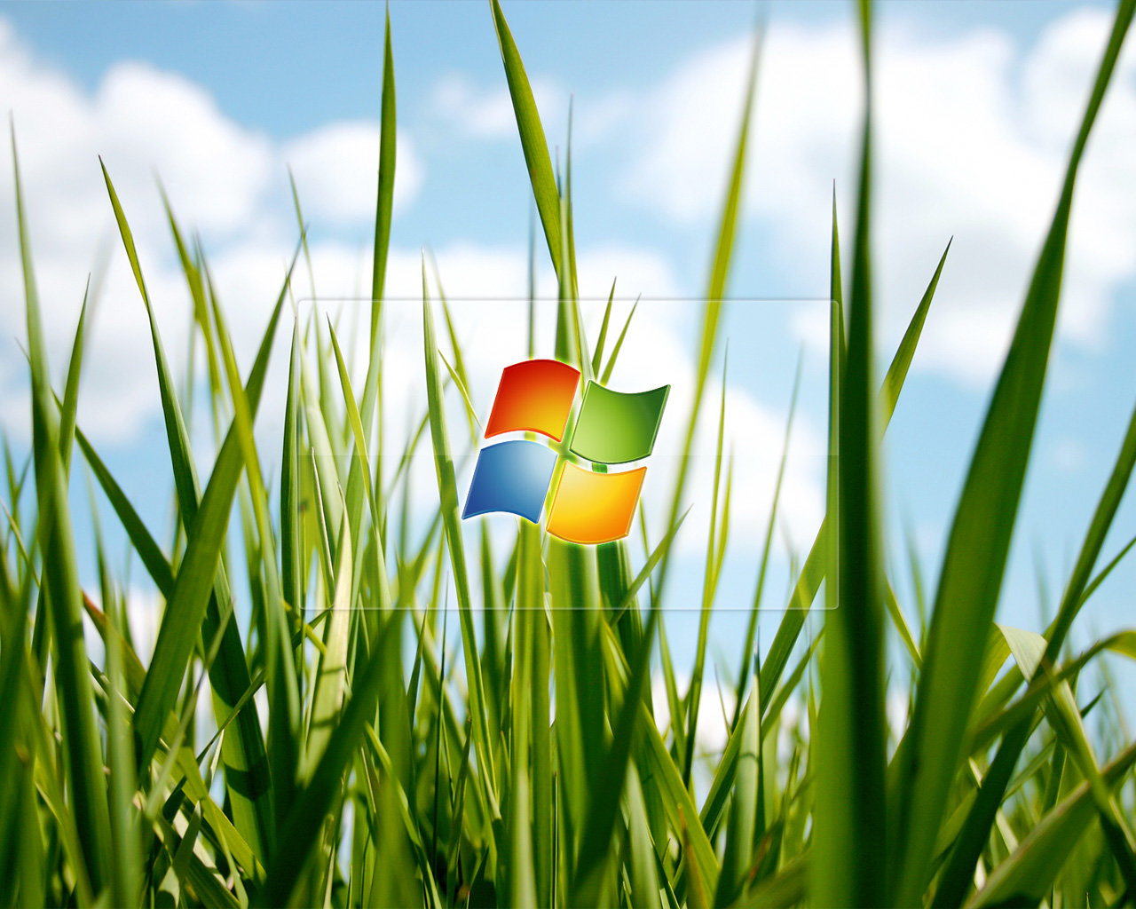 Free download Windows wallpaper ID:59865 hd 1280x1024 for computer