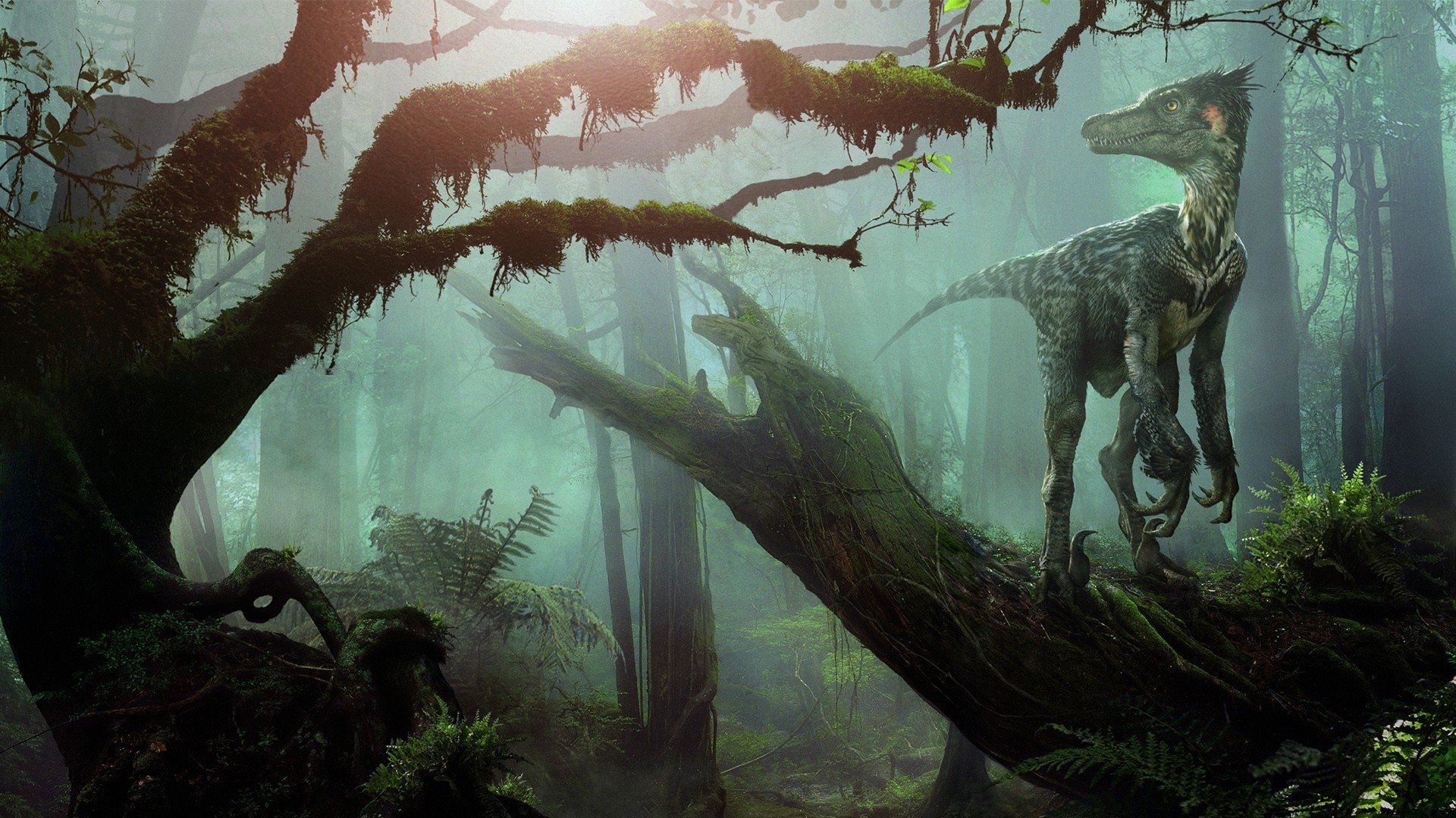 Download full hd 1080p Dinosaur computer background ID:73914 for free