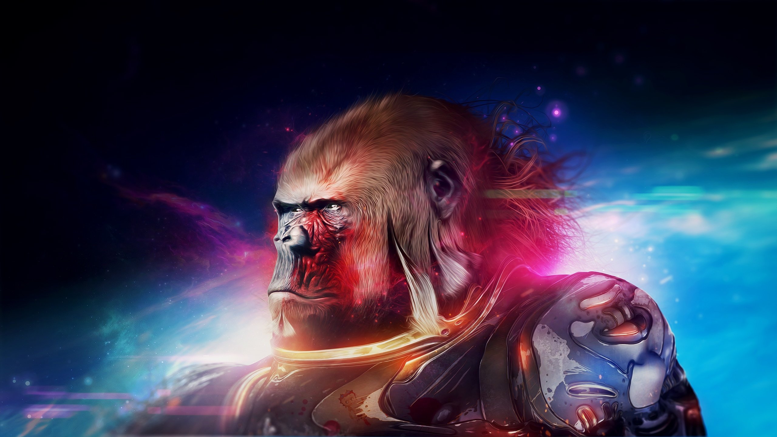 Download hd 2560x1440 Gorilla computer background ID:145529 for free
