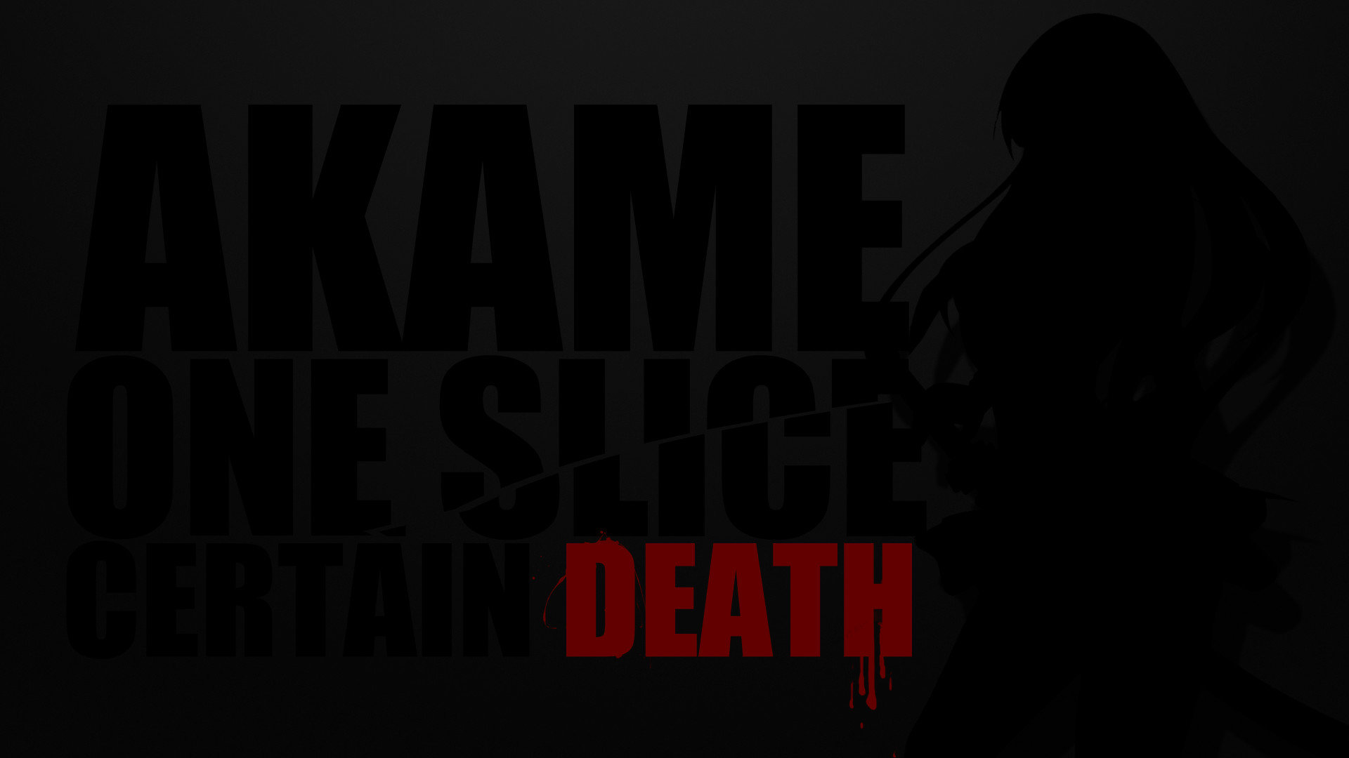 Free Akame Ga Kill! high quality background ID:207964 for full hd 1080p computer