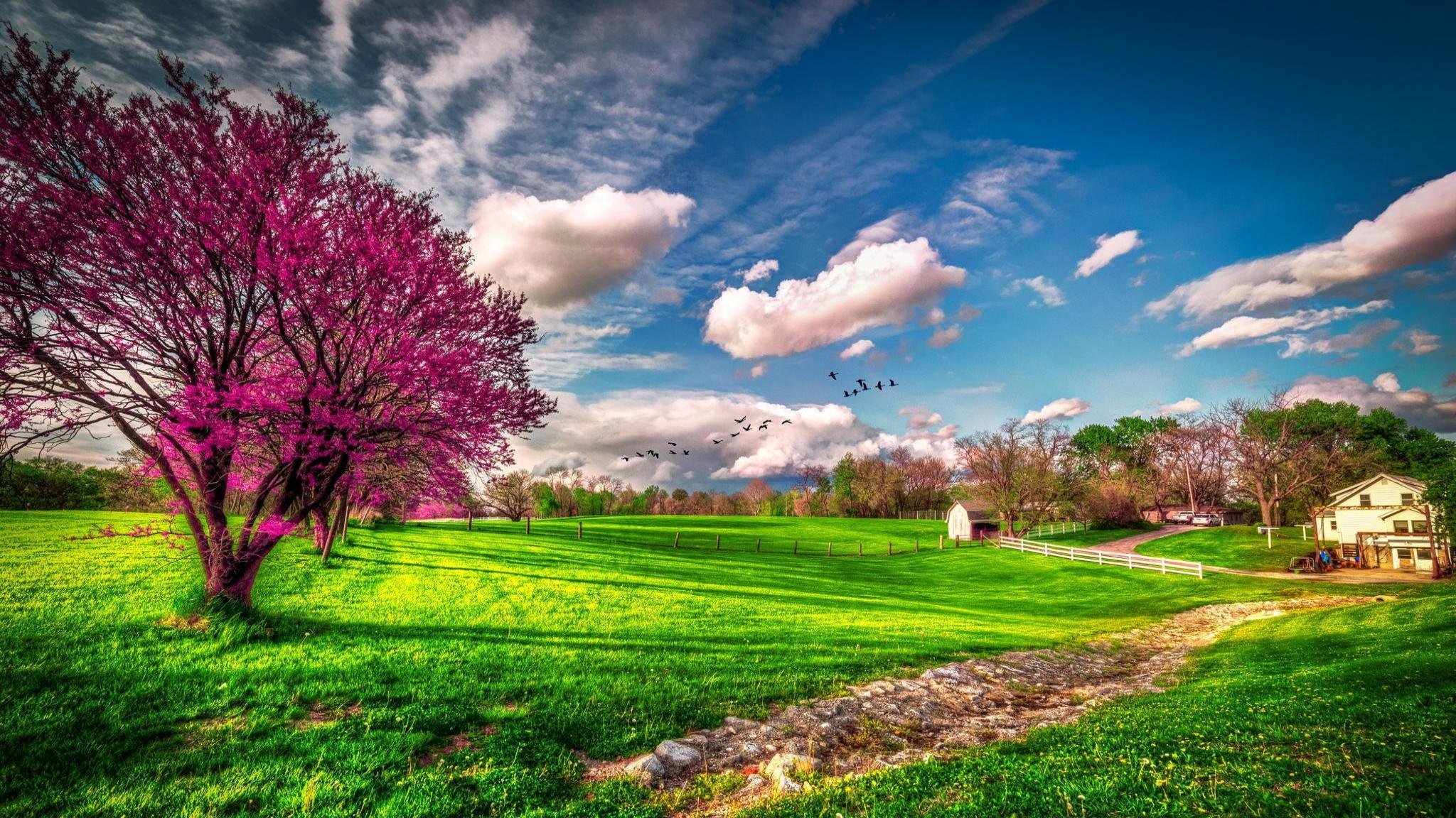 Free Spring high quality background ID:104094 for hd 2048x1152 PC
