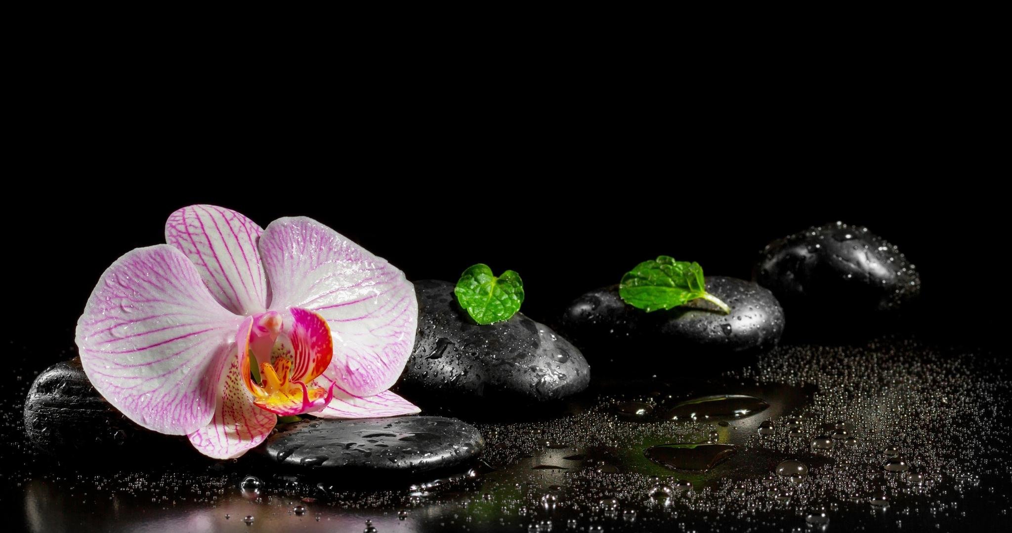 Awesome Zen free background ID:95019 for hd 2048x1080 PC