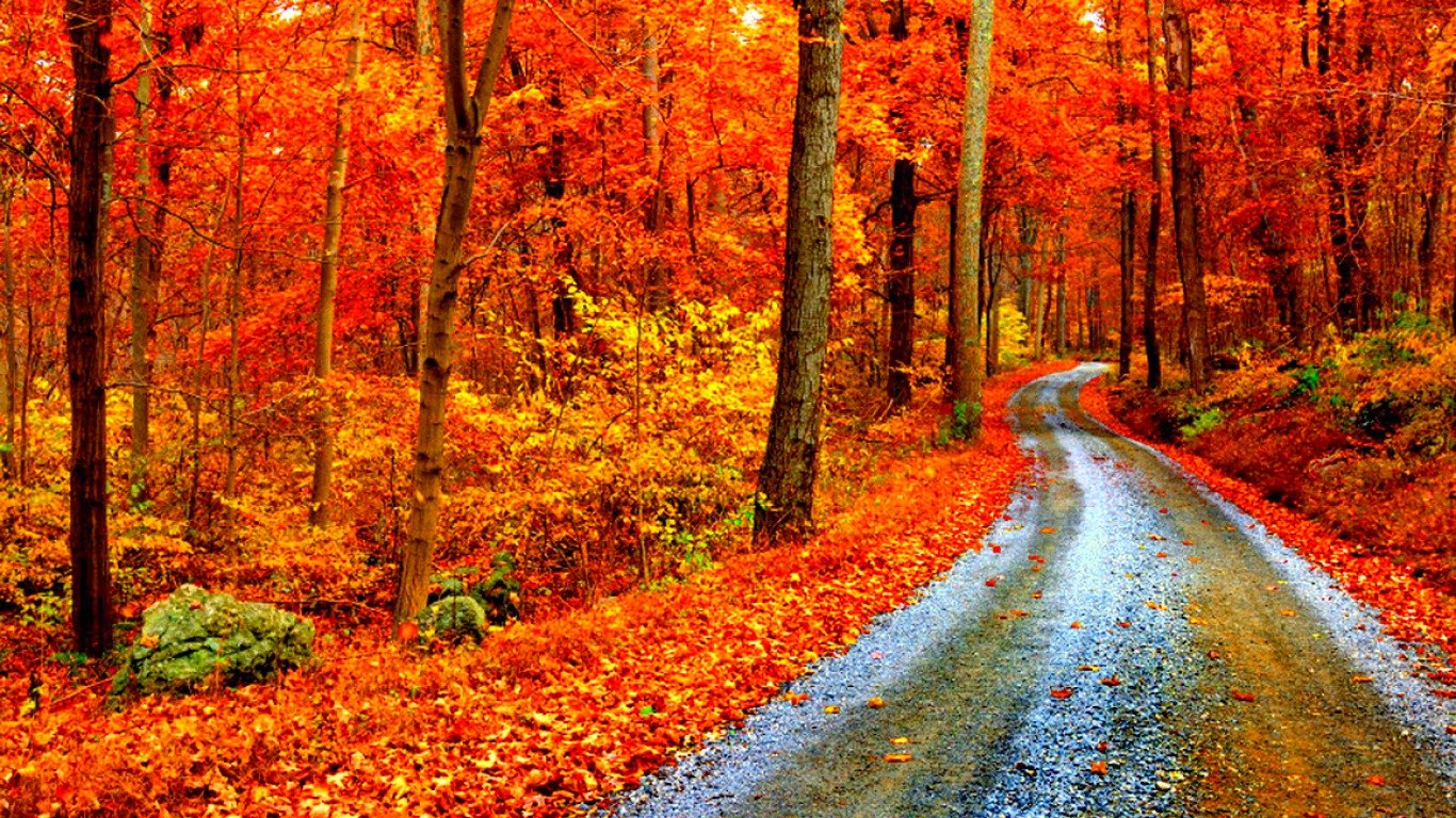 Best Fall background ID:20890 for High Resolution hd 1366x768 PC