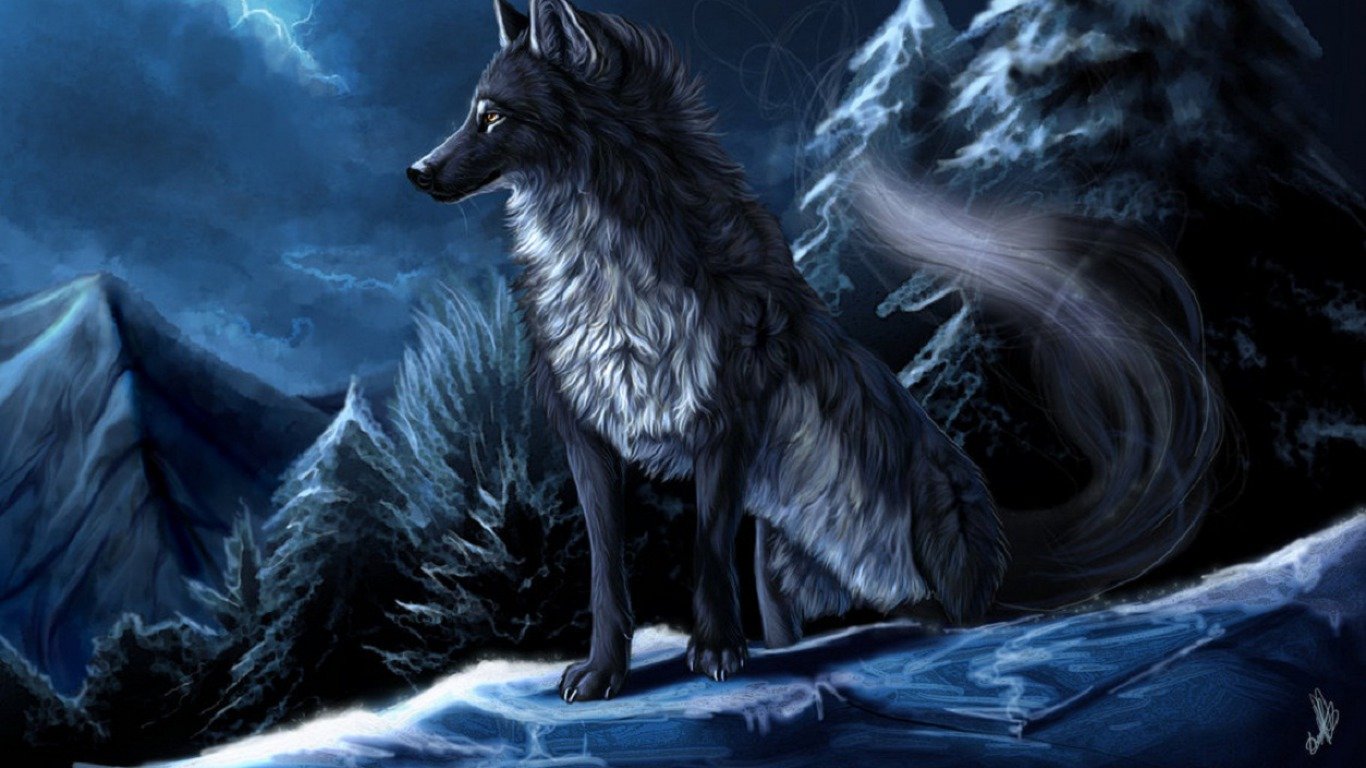 Best Wolf wallpaper ID:117697 for High Resolution laptop PC