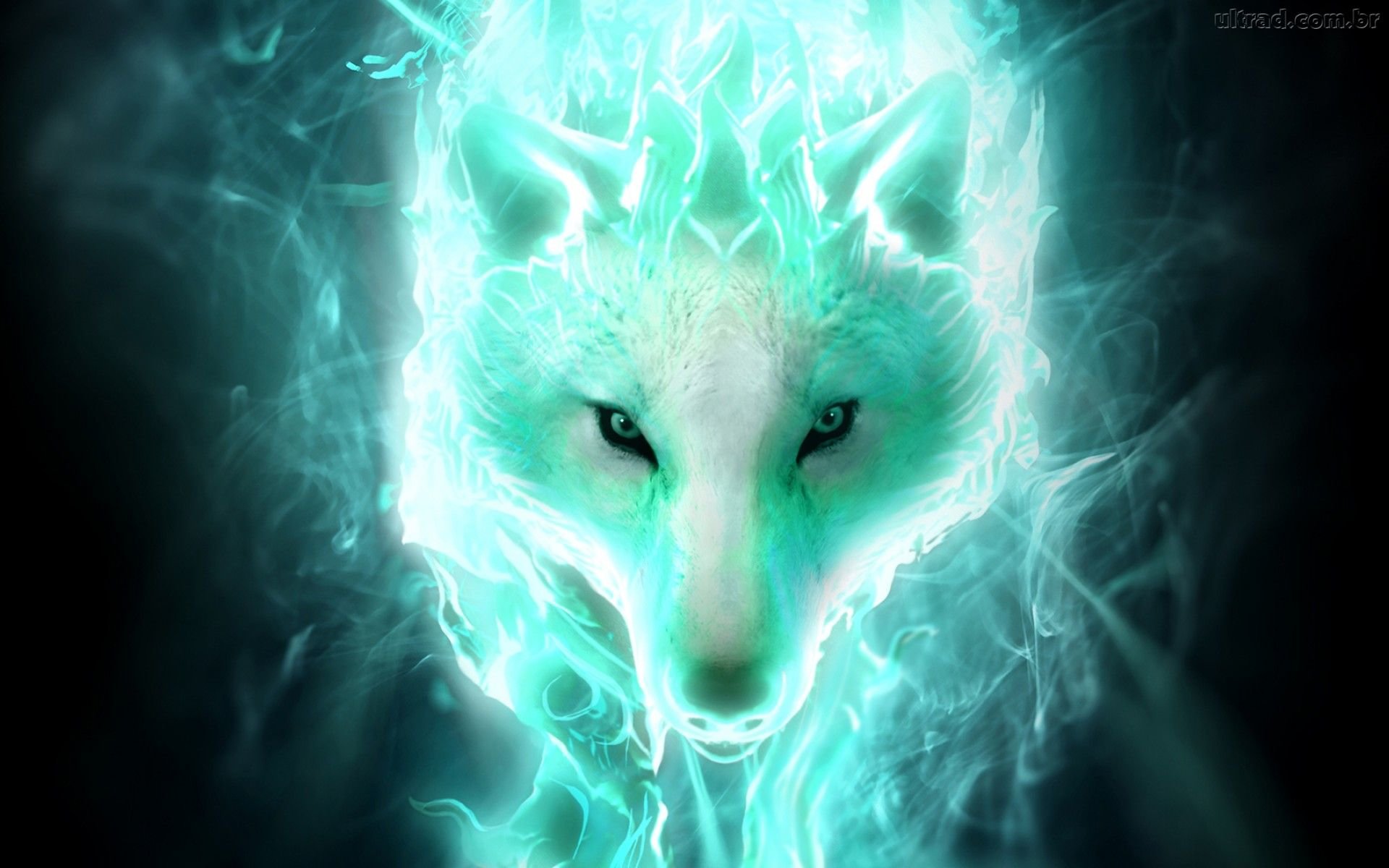 Free download Wolf Fantasy background ID:346510 hd 1920x1200 for PC