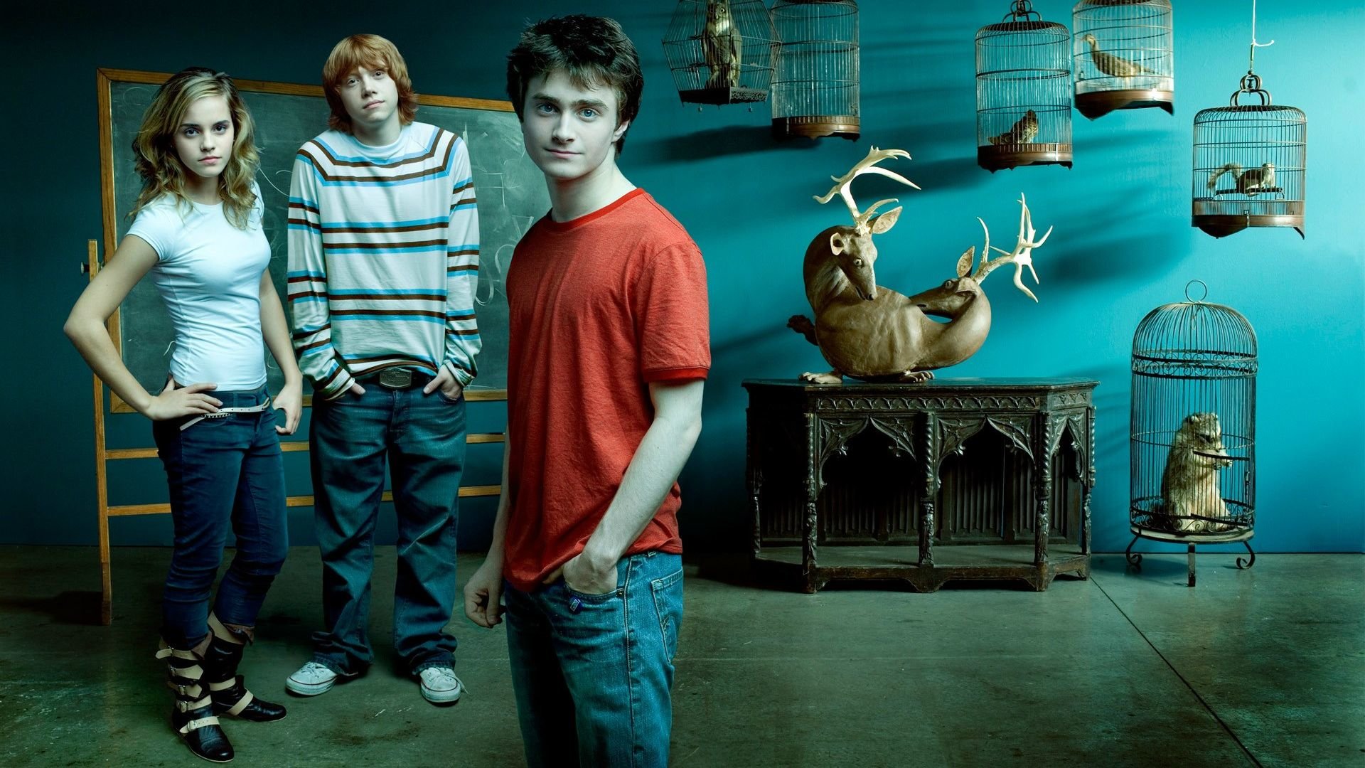 Free Harry Potter high quality wallpaper ID:463376 for full hd computer