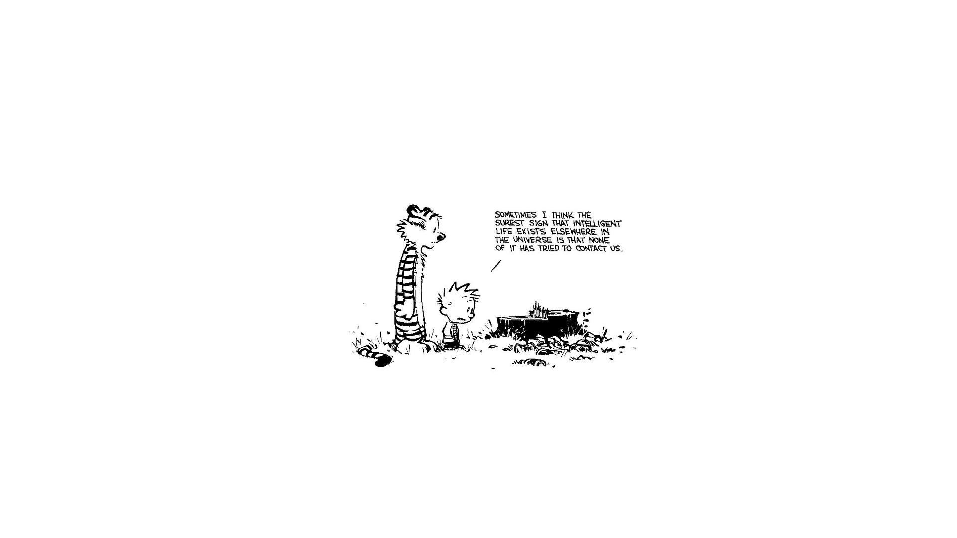 Free Calvin and Hobbes high quality background ID:211508 for full hd 1080p desktop