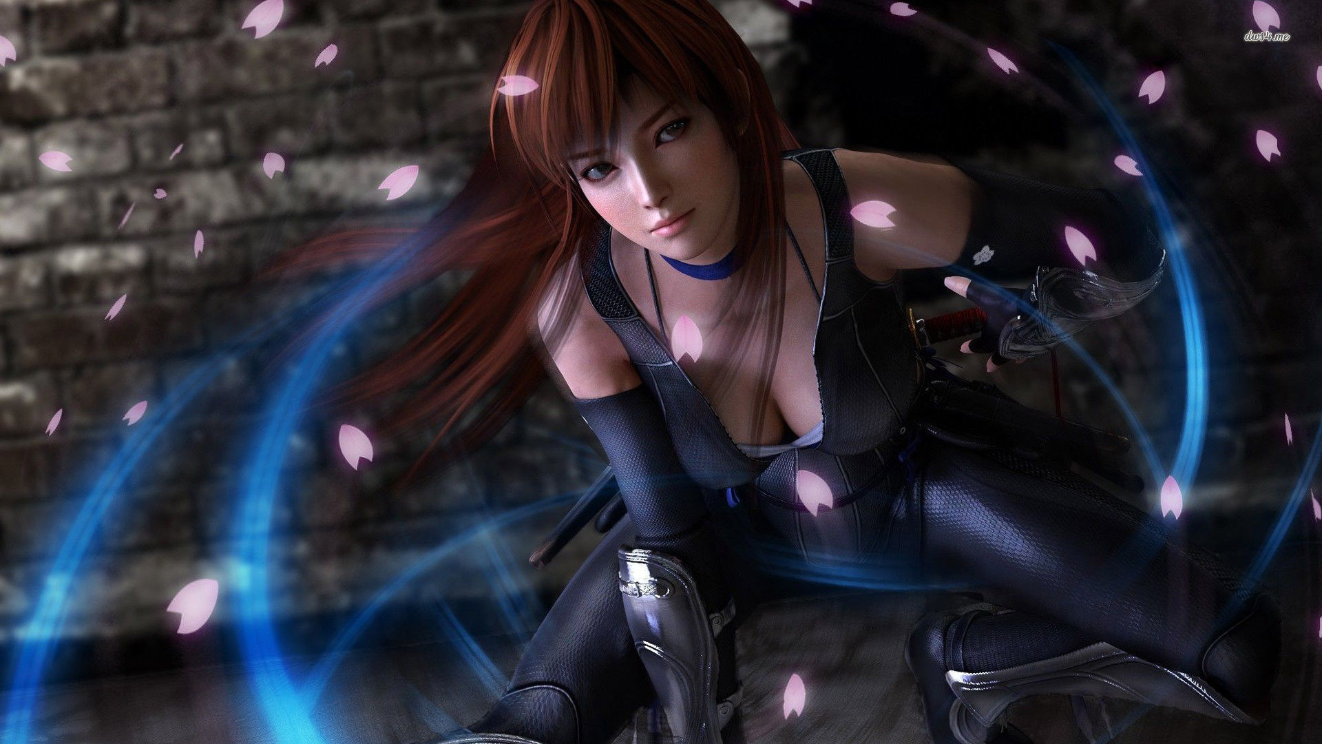 Best Dead Or Alive 5 background ID:10118 for High Resolution full hd 1920x1080 desktop