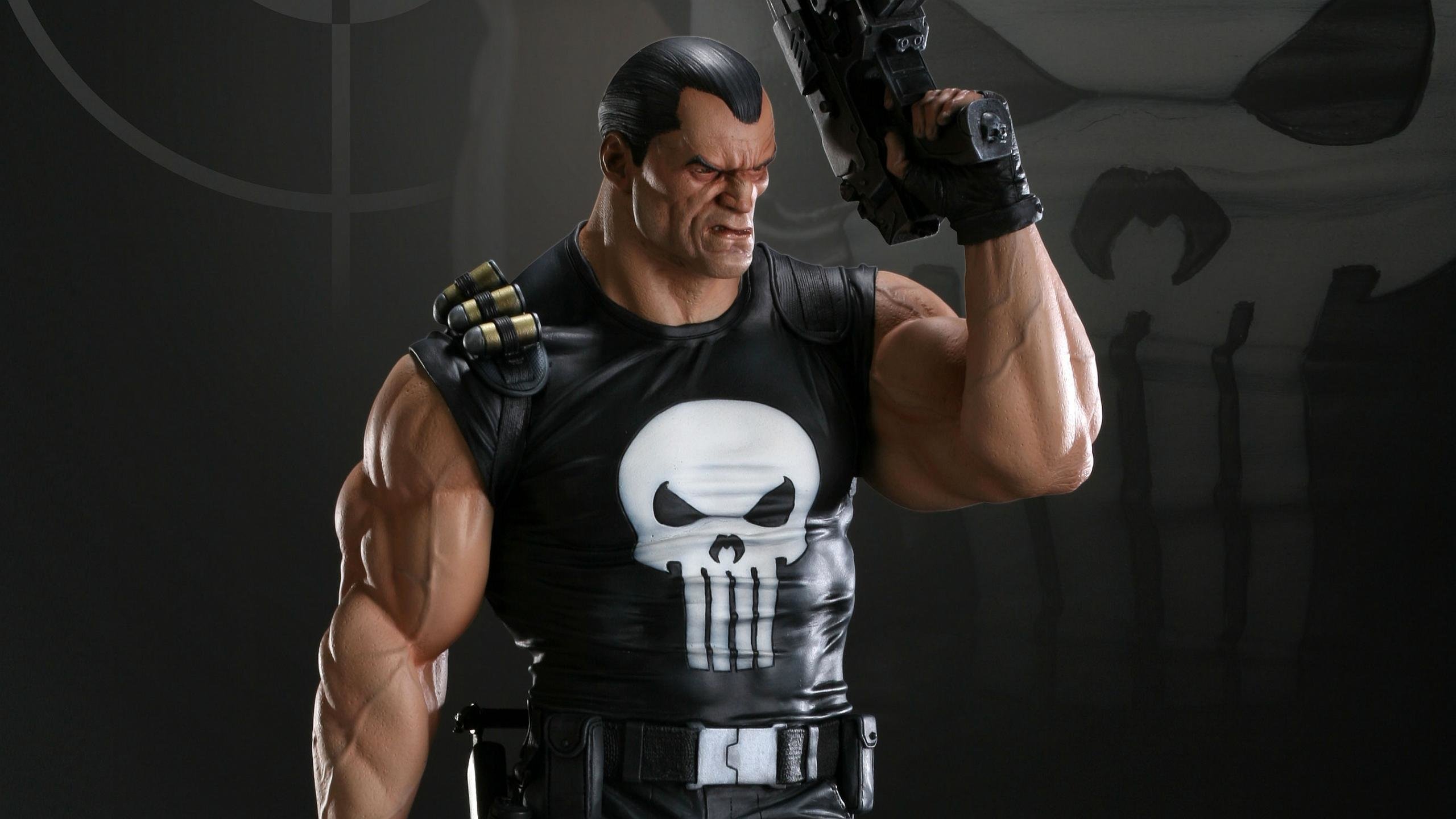 Awesome The Punisher free wallpaper ID:134637 for hd 2560x1440 desktop