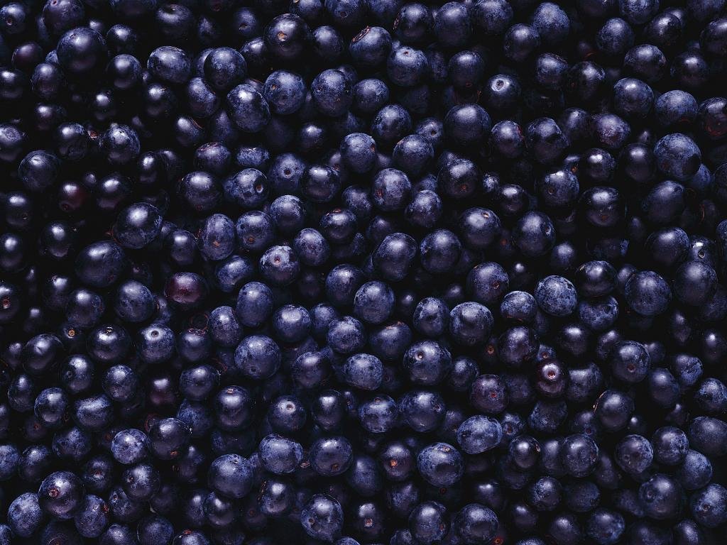 Free Blueberry high quality wallpaper ID:69056 for hd 1024x768 desktop
