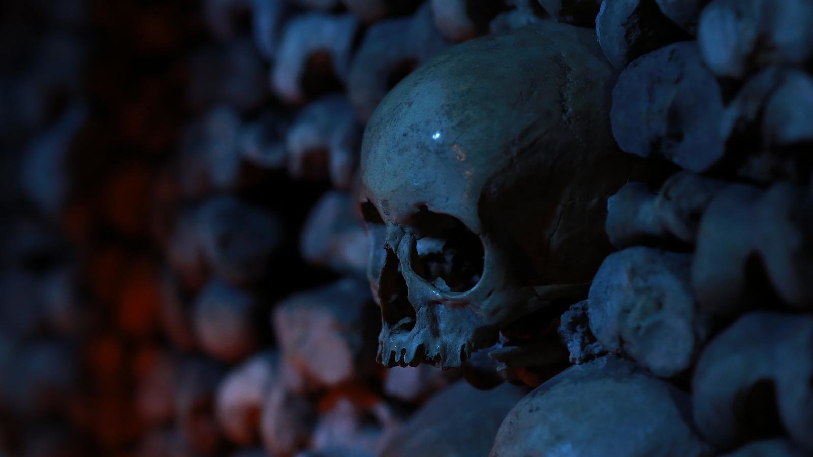 Free Skull high quality background ID:320873 for hd 1600x900 PC