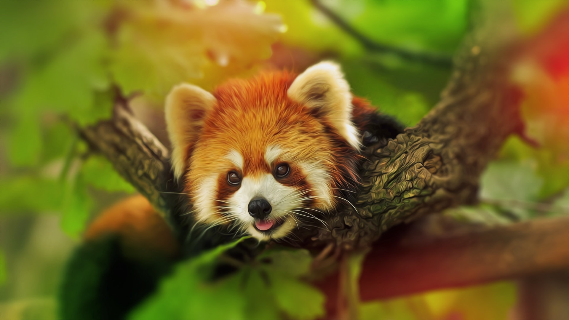 High resolution Red Panda full hd wallpaper ID:64045 for PC