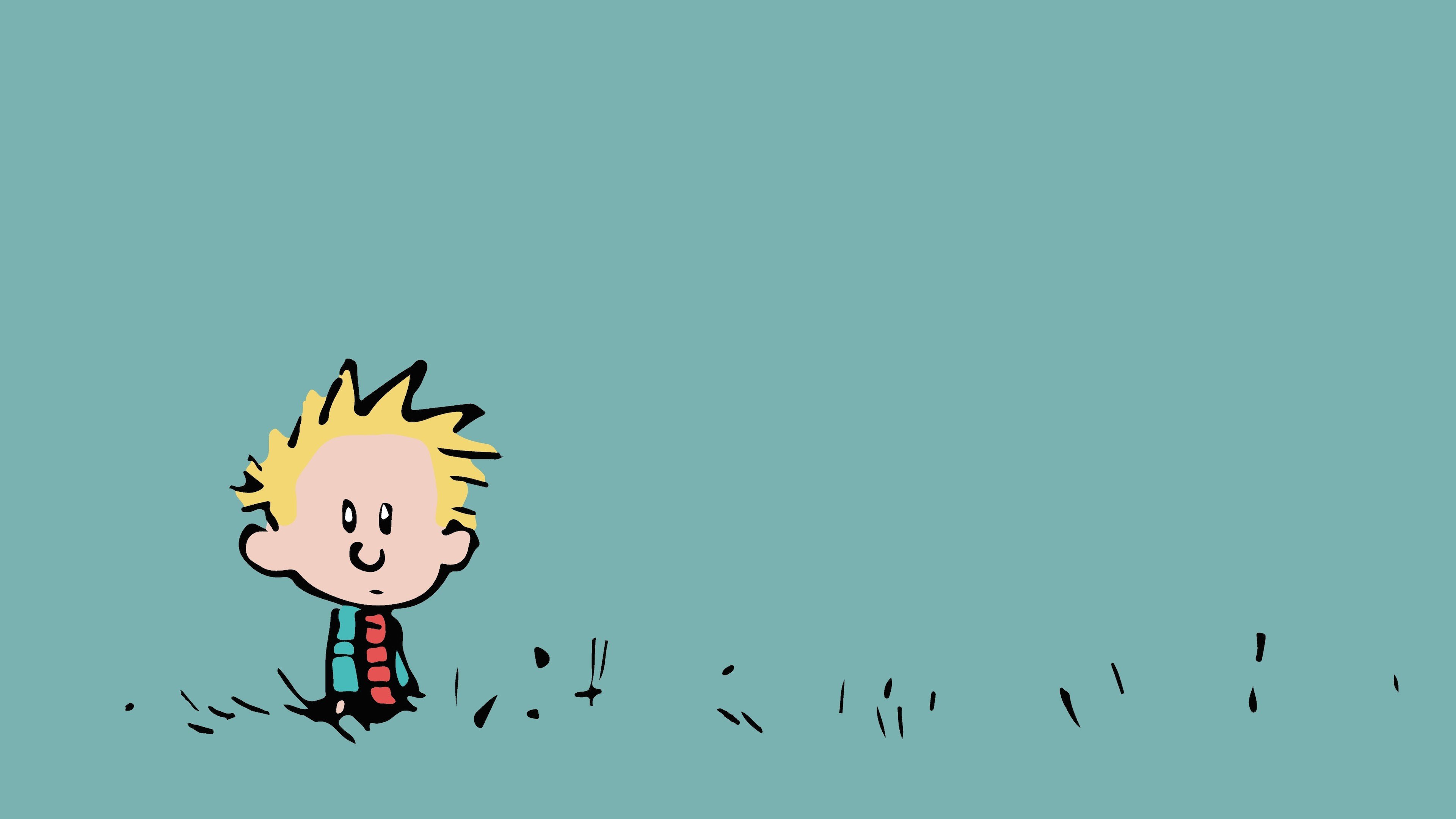 High resolution Calvin and Hobbes ultra hd 4k background ID:211390 for desktop