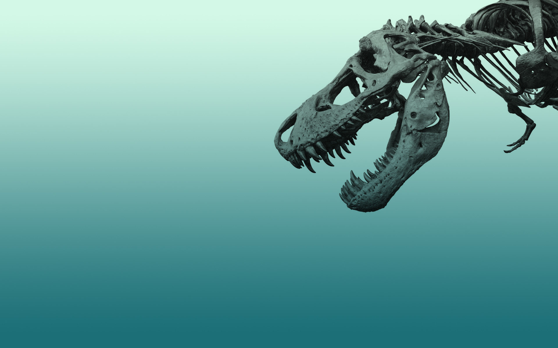 Free Tyrannosaurus Rex high quality background ID:73872 for hd 1920x1200 computer
