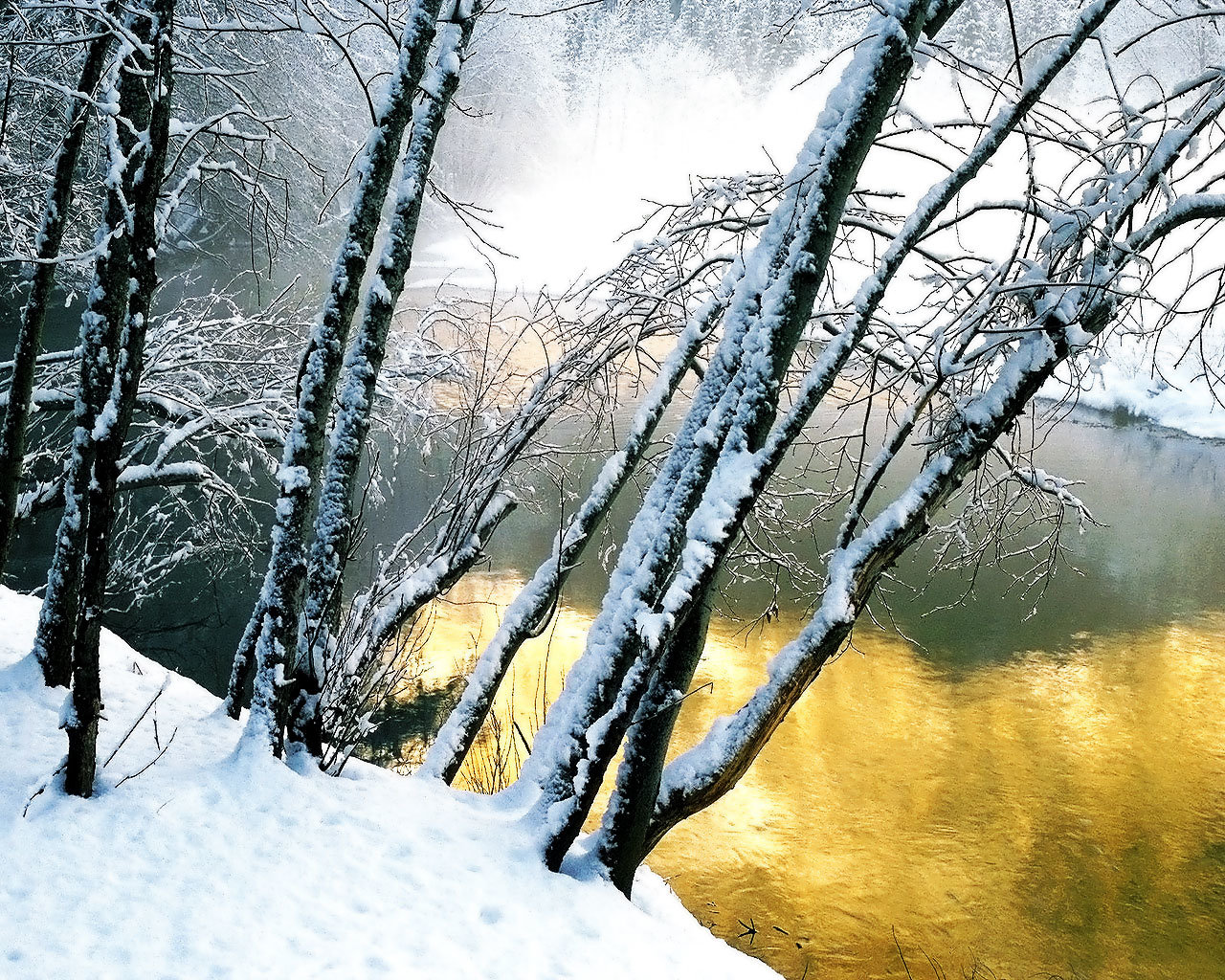 High resolution Winter hd 1280x1024 background ID:250721 for PC
