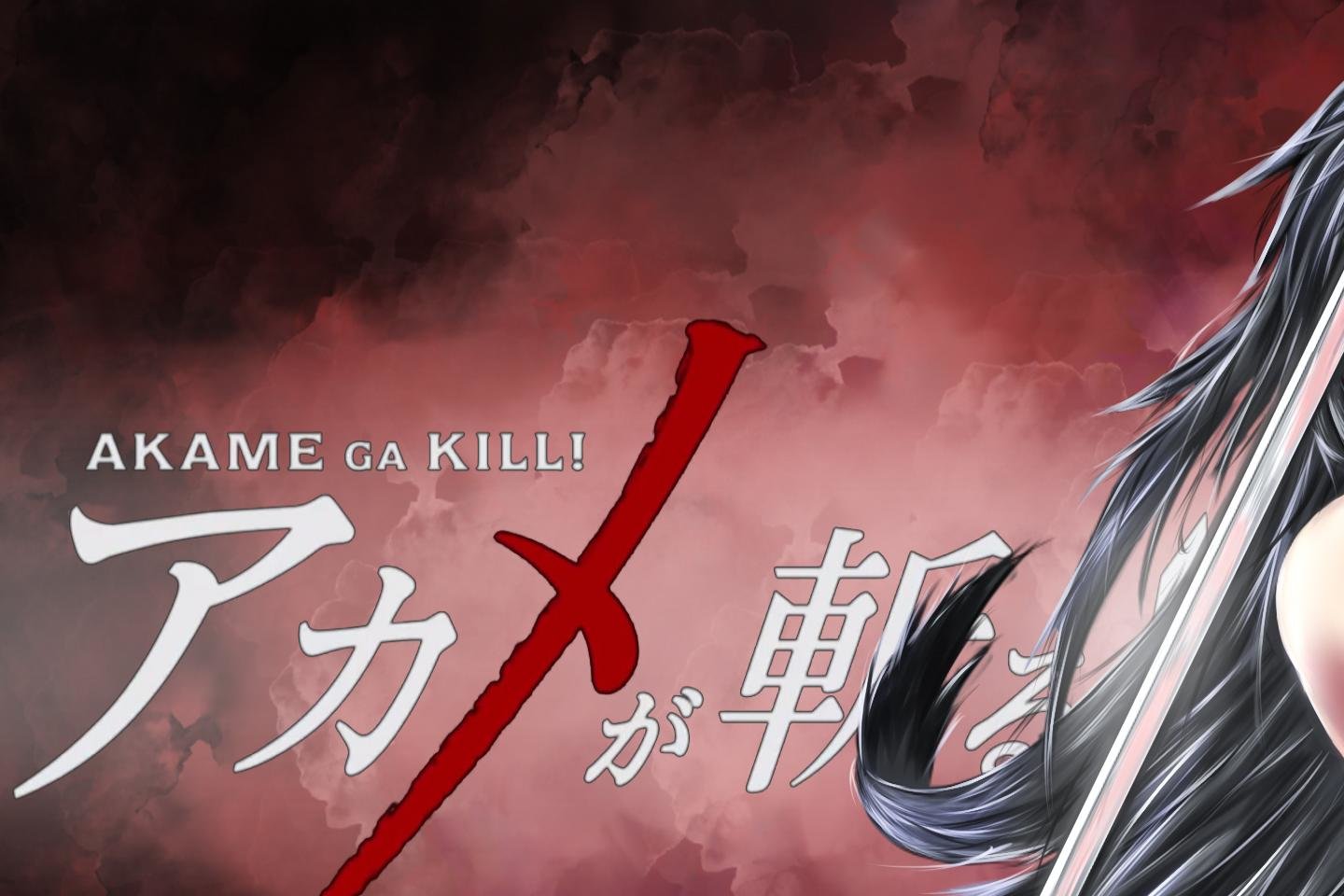 Download hd 1440x960 Akame Ga Kill! computer background ID:208003 for free