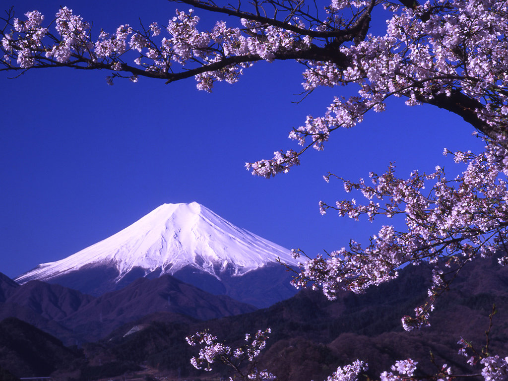Best Mount Fuji wallpaper ID:277719 for High Resolution hd 1024x768 desktop