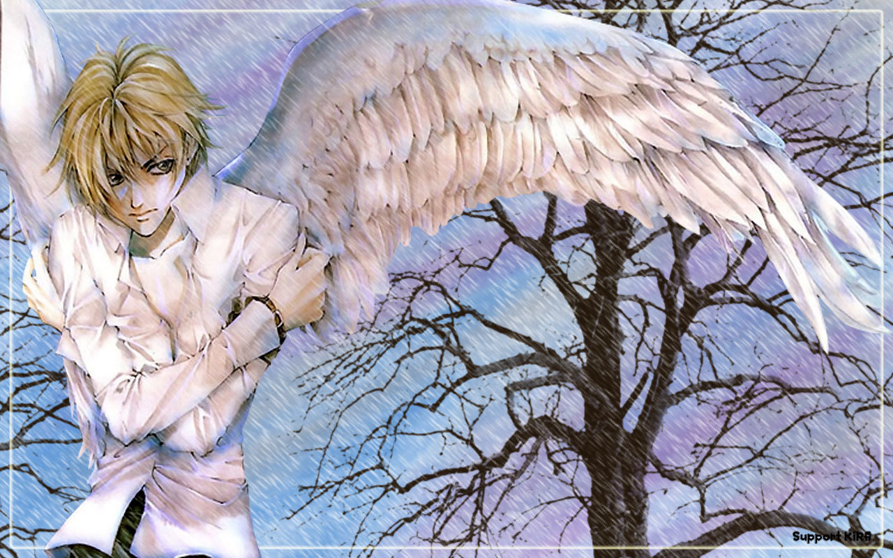 Best Angel Sanctuary background ID:26579 for High Resolution hd 1280x800 PC