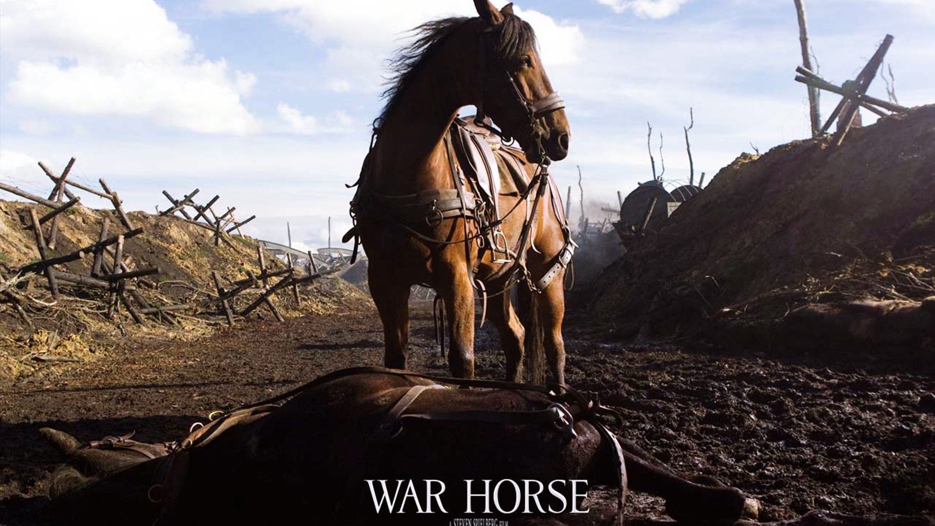 Free download War Horse background ID:191467 hd 1920x1080 for desktop