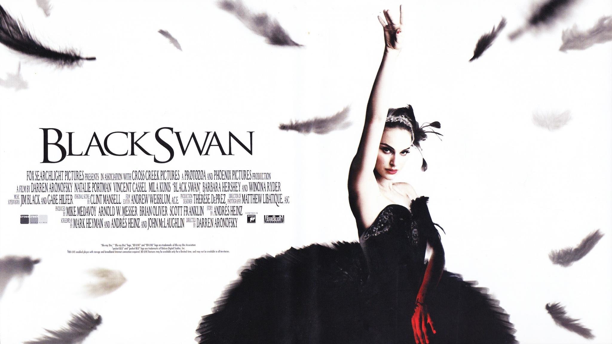 Download hd 2048x1152 Black Swan Movie computer wallpaper ID:96819 for free