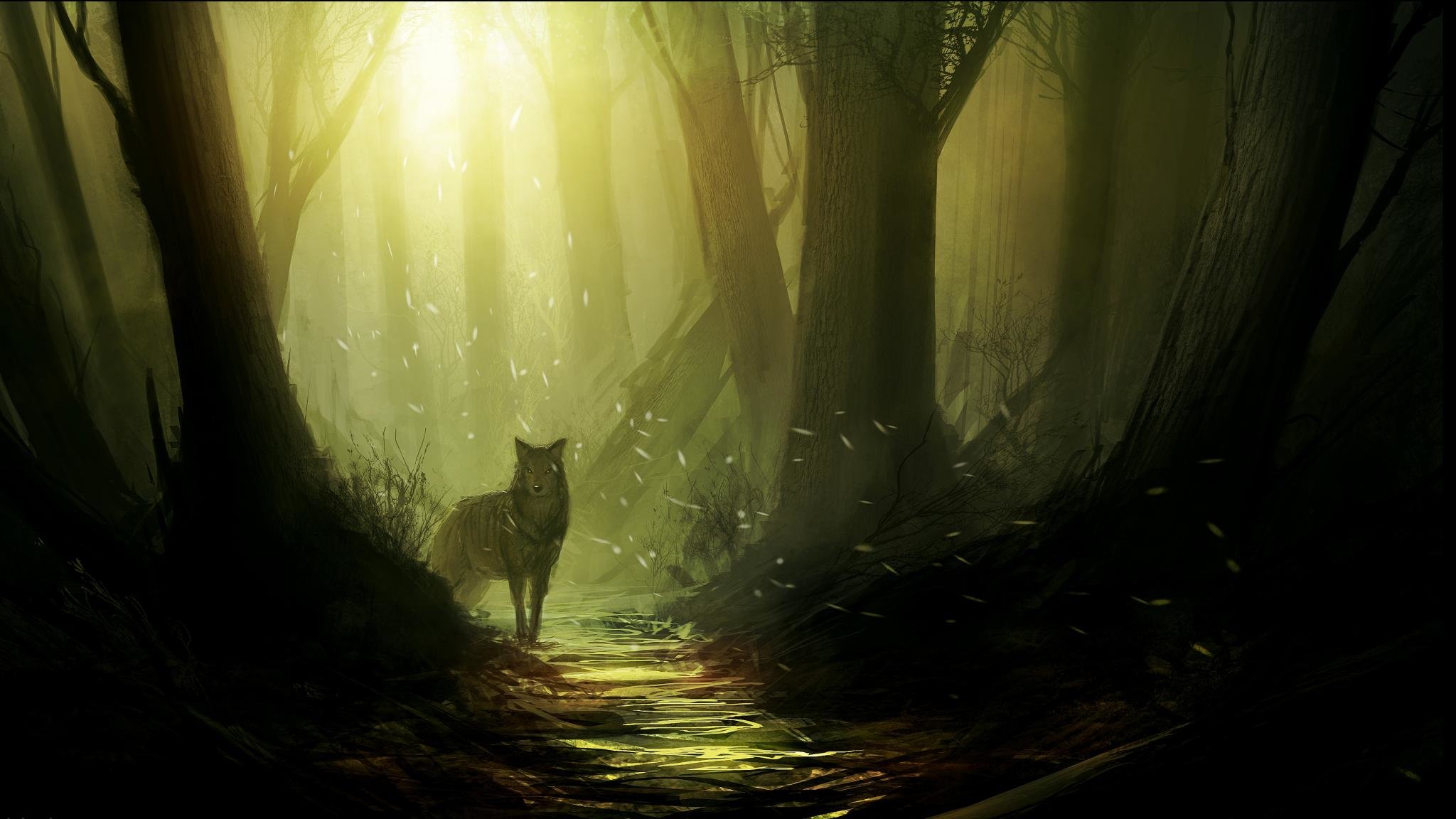 Best Wolf Fantasy background ID:346550 for High Resolution hd 2048x1152 PC