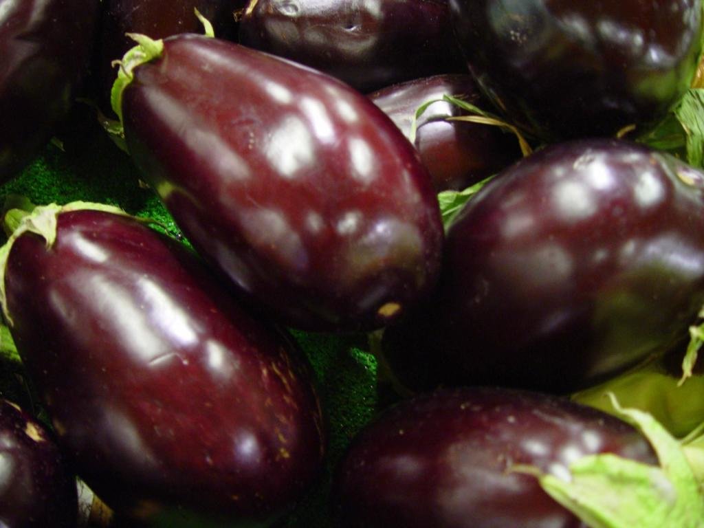 Best Eggplant wallpaper ID:421347 for High Resolution hd 1024x768 computer