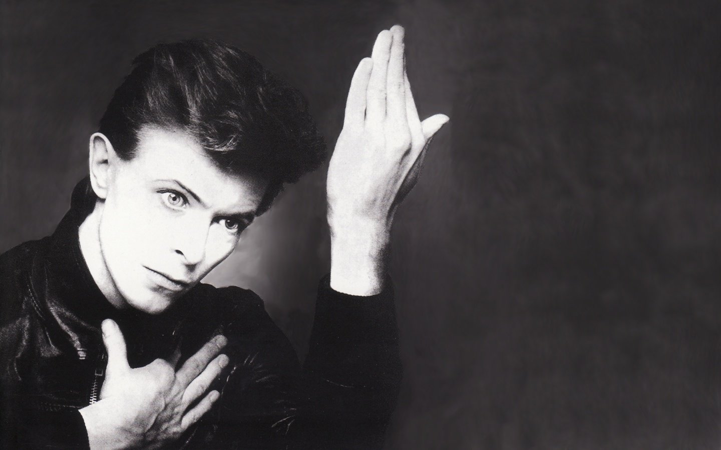 Best David Bowie wallpaper ID:135278 for High Resolution hd 1440x900 computer