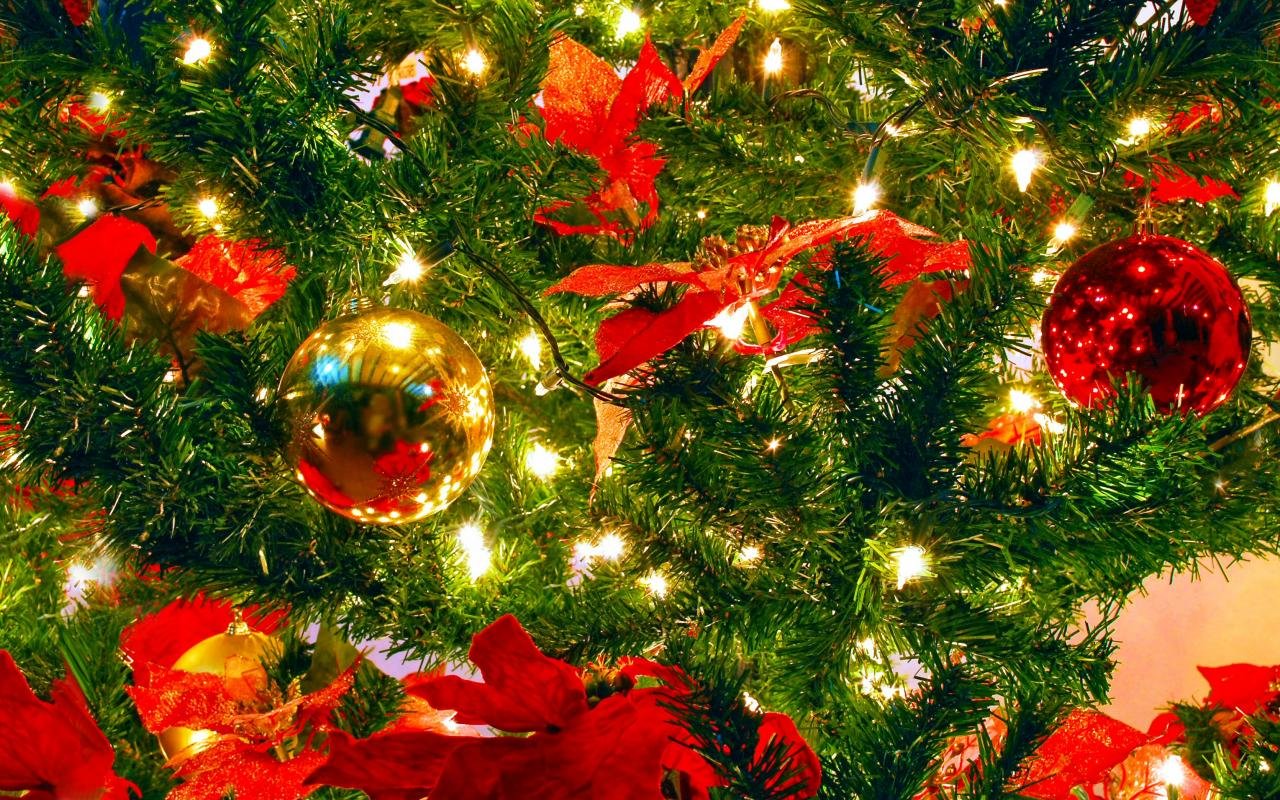 Free Christmas Ornaments/Decorations high quality wallpaper ID:436226 for hd 1280x800 PC